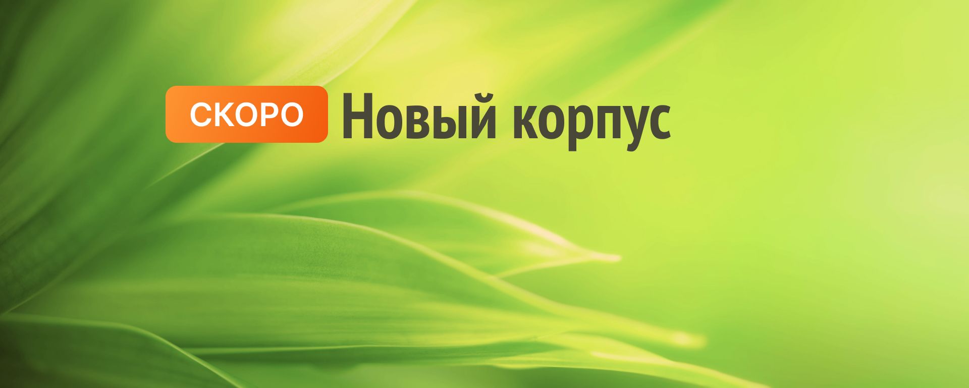 <strong>Комфорт+<br>Лесная Отрада (2-я очередь)</strong>