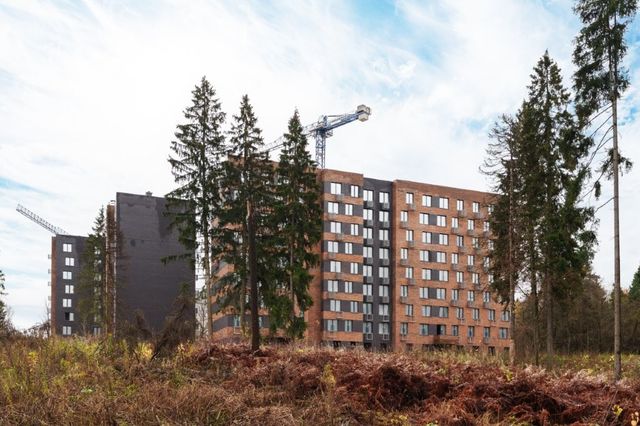 Динамика строительства Смарт квартала Лесная Отрада (1-я и 2-я очереди) - октябрь