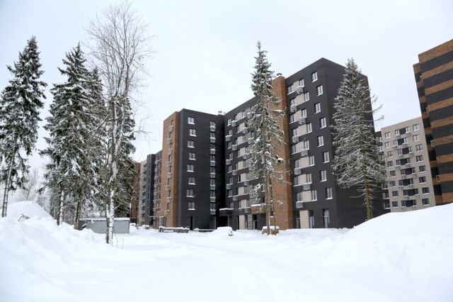 Январь - ход строительства Смарт квартала Лесная Отрада (1-я и 2-я очереди)